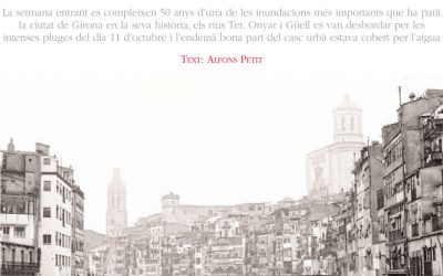 Article Premi Manuel Bonmatí 2012
